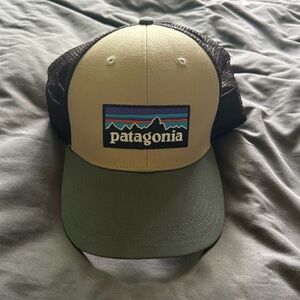 Patagonia Beige and Green Trucker Hat